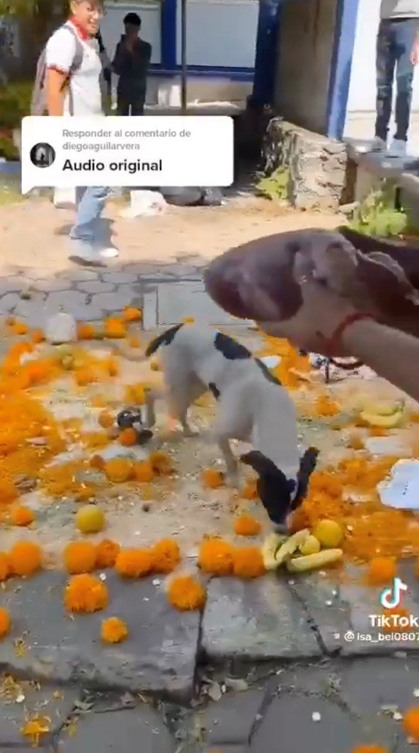 Al final, la ofrenda quedó toda destruida ante la mirada de la gente 