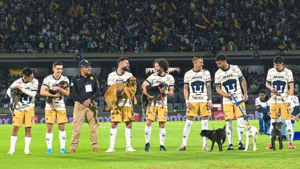 Los jugadores de Pumas saltaron al campo con perritos