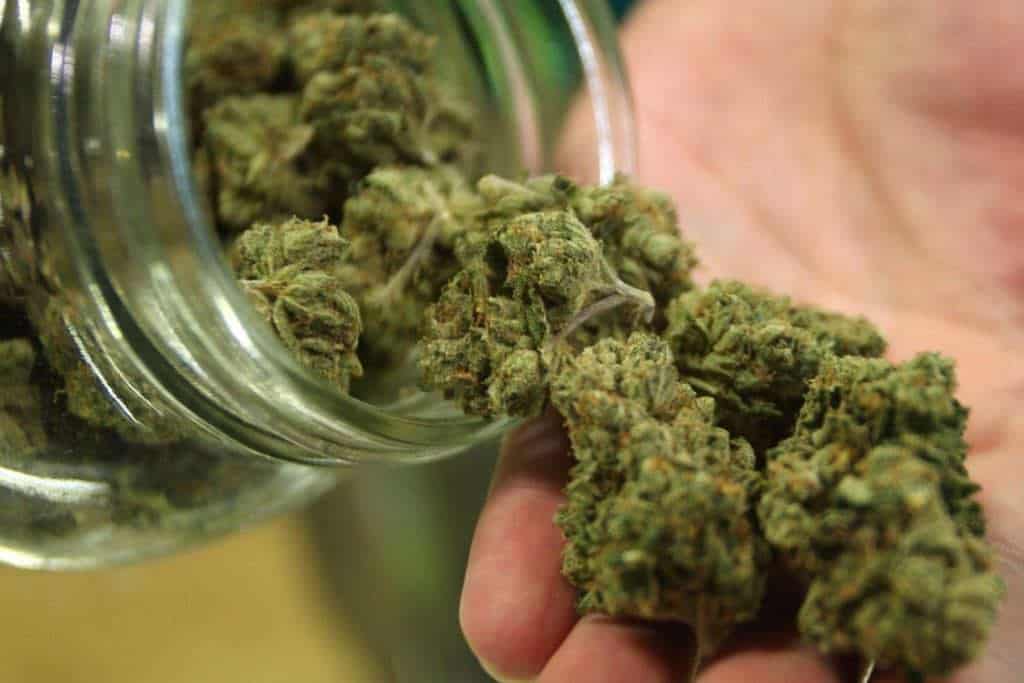 La marihuana también sirve para uso medicinal 