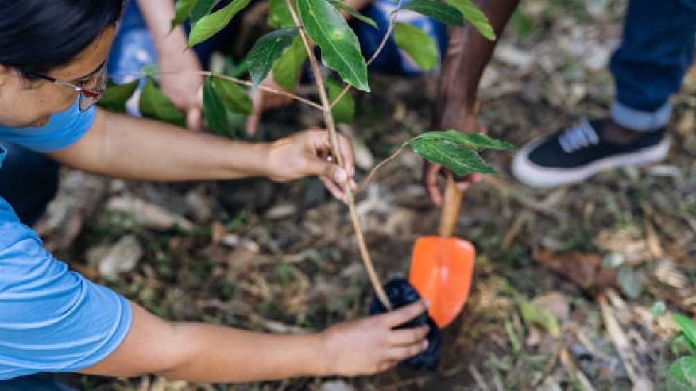 En México ya existe un programa encargado de apoyar a los agricultores. 