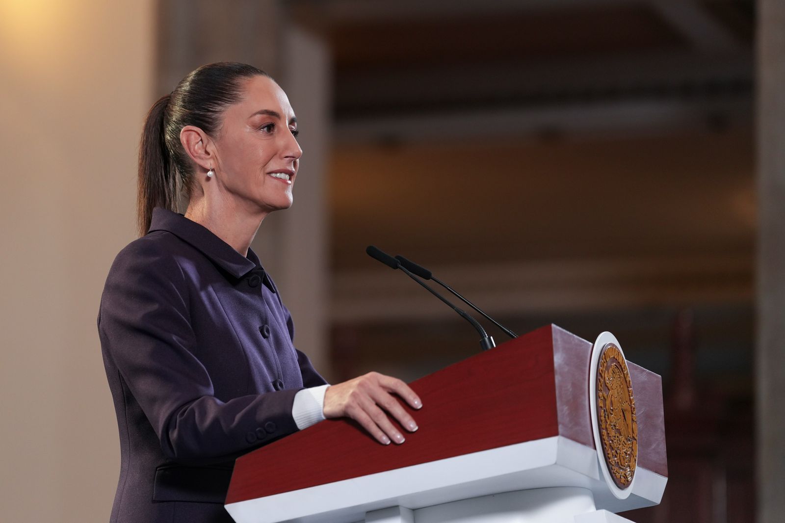 Claudia Sheinbaum en sus mañaneras