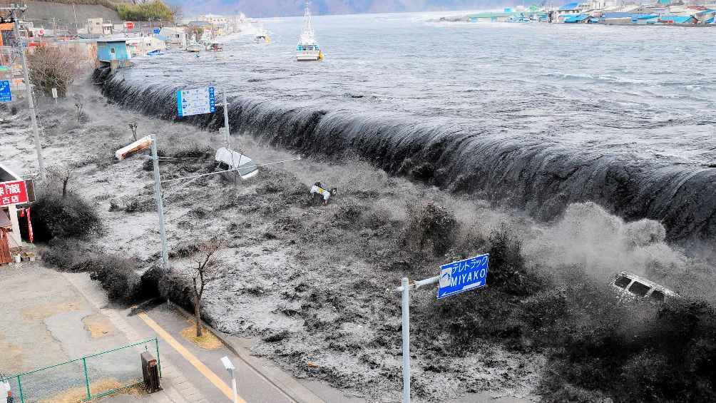 En 2011 antes del tsunami que afectó a Japón, aparecieron varios peces remo. 