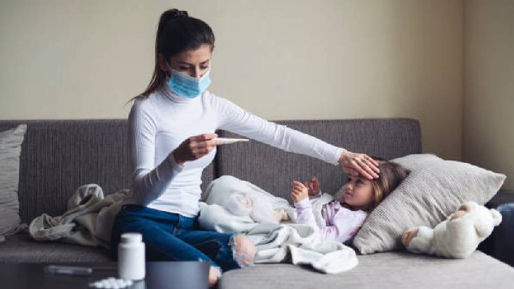 El virus Coxsackie, parte de la familia Enterovirus