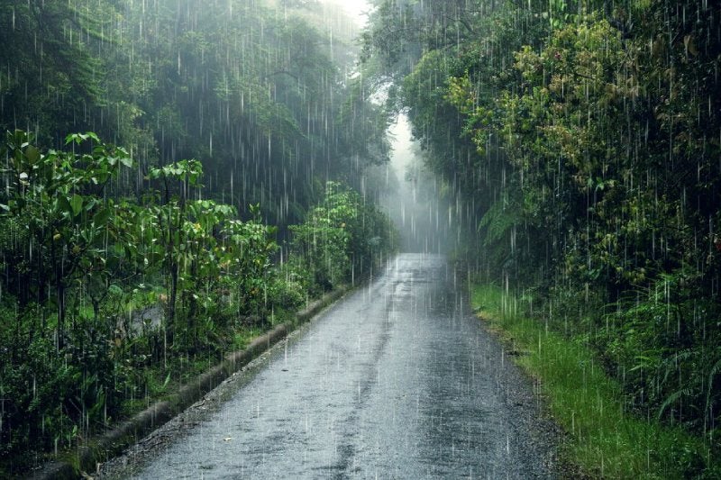 Las lluvias se presentarán en el sur del país.