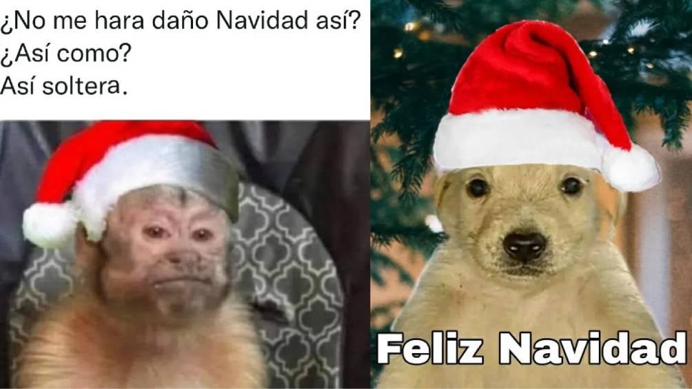 ¡Los mejores memes para darle la bienvenida a diciembre 2024! 