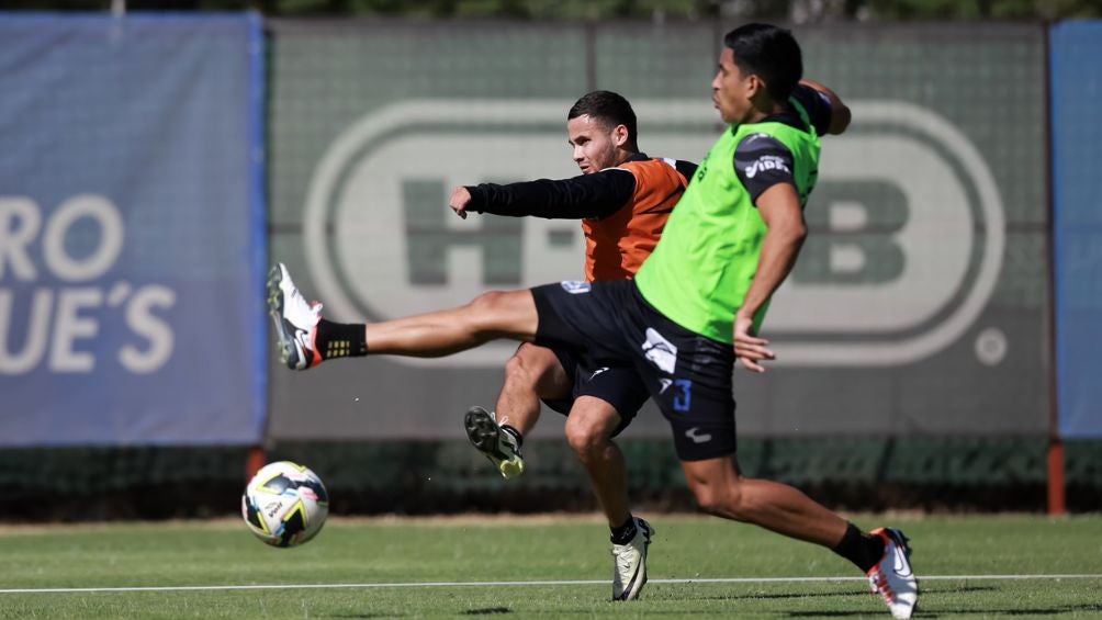 Gallos se prepara para el Clausura 2025