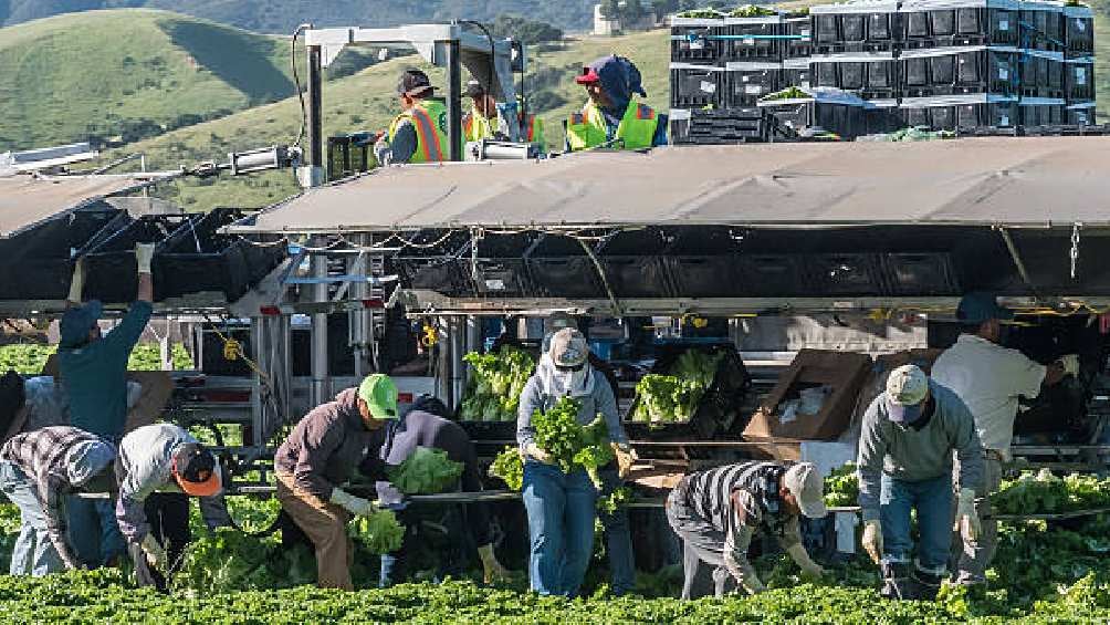 Son alrededor de 4 millones de mexicanos adultos mayores que viven en Estados Unidos. 