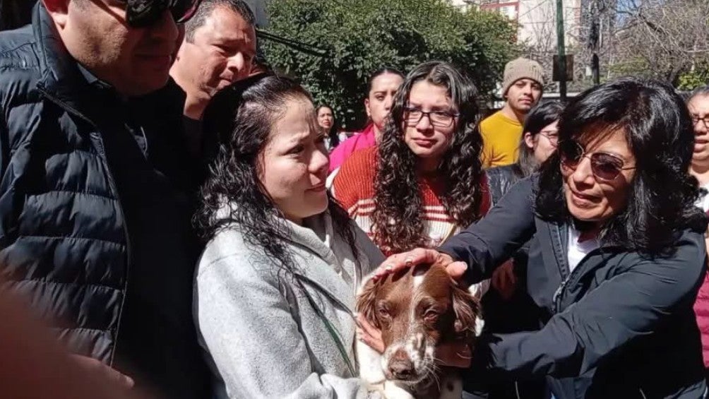 Bruno, el perrito de la veterinaria en la colonia Condesa que fue retenido por los dueños