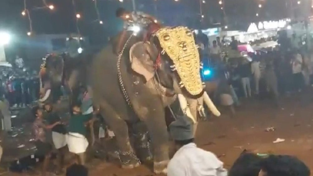 Al animal lograron tranquilizarlo luego de unos minutos.