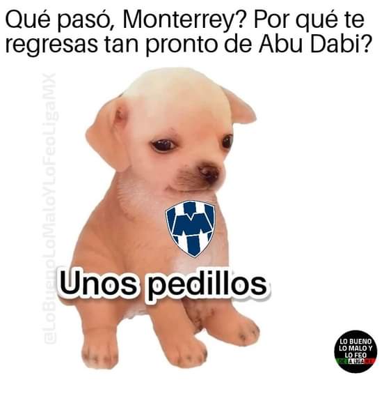 Galería: Los mejores memes de la eliminación de Rayados del Mundial de Clubes