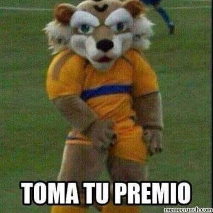 Los felinos se pueden burlar de su rival