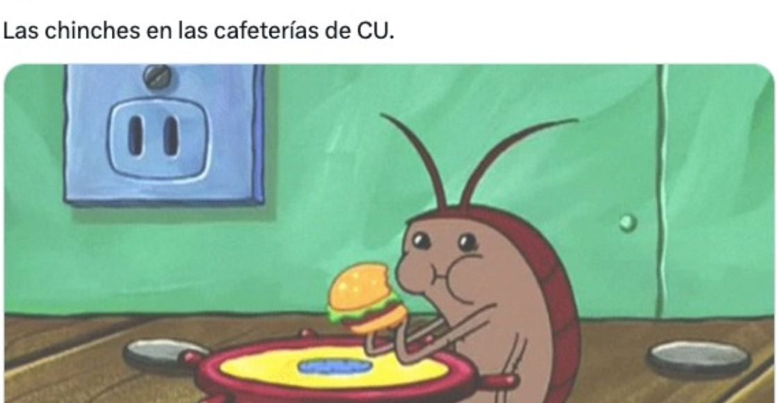 Diviértete con los mejores memes de la invasión de chinches en la UNAM