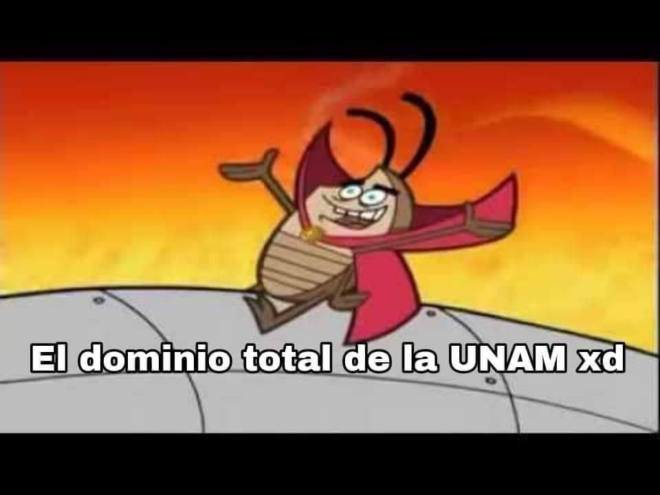 Diviértete con los mejores memes de la invasión de chinches en la UNAM