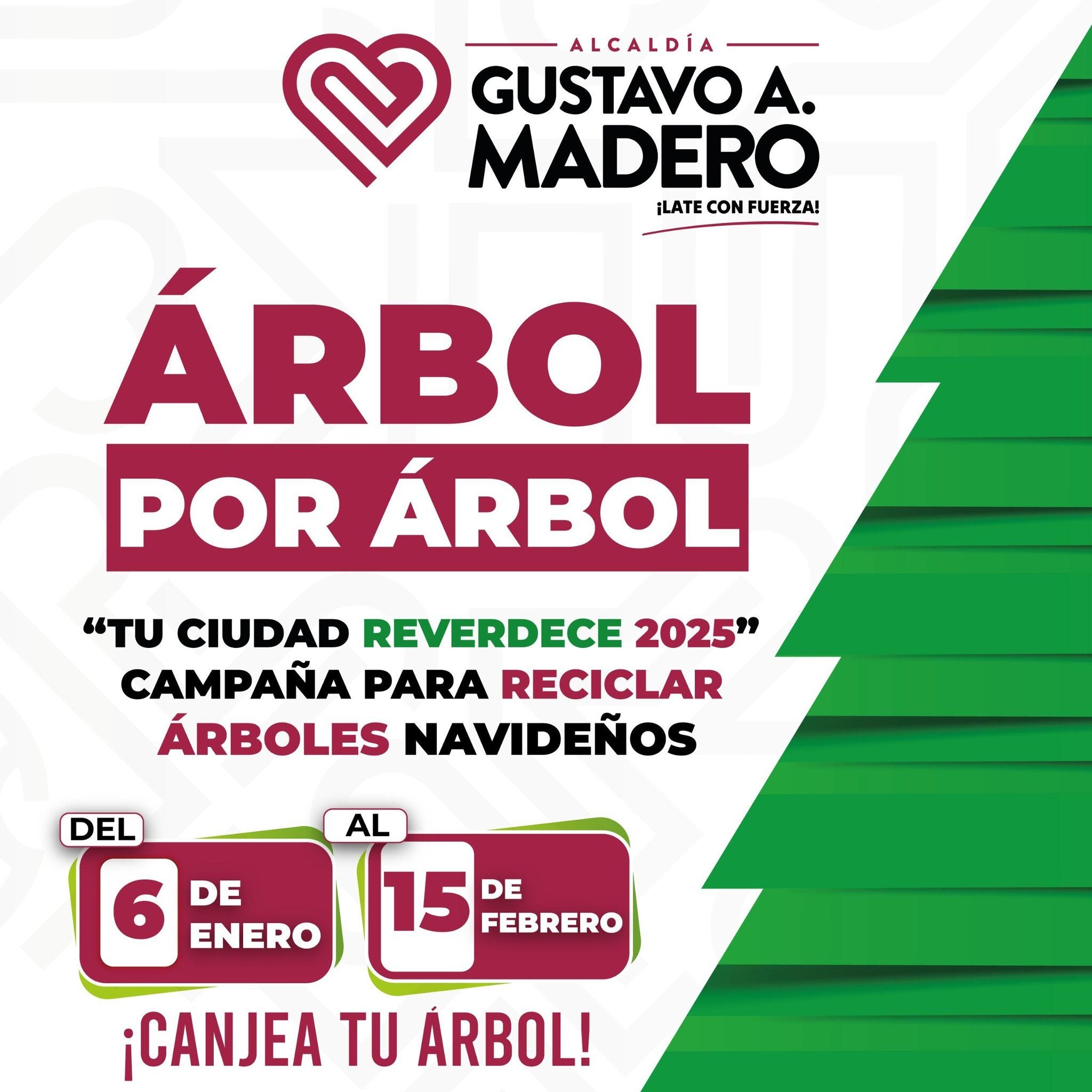 Tienes hasta el 15 de febrero para llevar tu arbolito / Redes Sociales