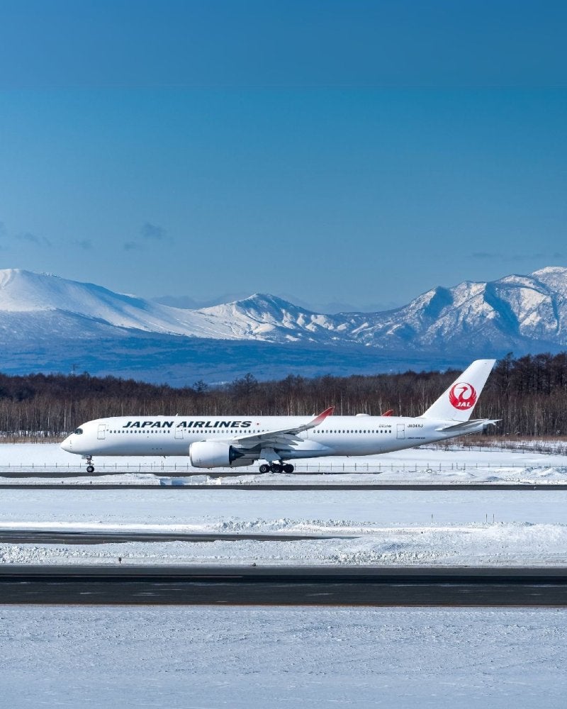 Un ciberataque enfrentó la aerolínea / FB: @JapanAirlinesWorldwide