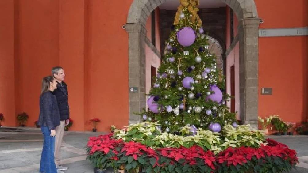 El esposo de la mandataria mandó un breve mensaje de Navidad para los mexicanos. | Gobierno de México. 