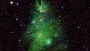 NASA muestra estrellas que forman un árbol de Navidad en el espacio