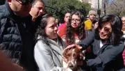 Bruno, el perrito de la veterinaria en la colonia Condesa que fue retenido por los dueños