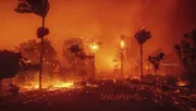 Incendios forestales en Los Ángeles, California obligan a miles de personas a evacuar sus hogares