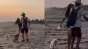 VIDEO: Extranjera agrede a perritos callejeros en Mazunte