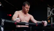 Dana White y Canelo Álvarez harán las paces