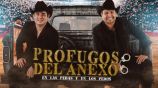 Prófugos del Anexo en Ciudad de México fue cancelado ¿Cómo pedir reembolso?