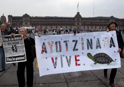 Manifestantes a las afueras de Palacio Nacional 