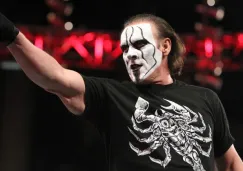 Sting durante un segmento en Raw