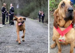 Así premiaron a Ludivine, la carismática mascota del maratón