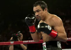 Juan Manuel Márquez durante uno de sus combates