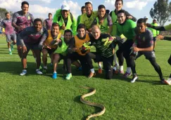 Los futbolistas del León se divierten junto a la serpiente