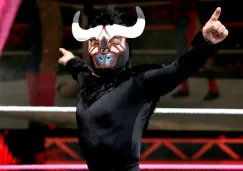 El Torito, mejor conocido en México como Mascarita Sagrada