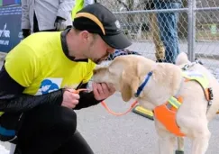 Thomas Panek y su perro guía al concluir el Medio Maratón de NY