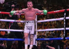 Canelo Álavarez  espera la reanudación de la pelea vs Jacobs