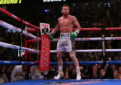 El Canelo, durante la pelea frente a Daniel Jacobs 