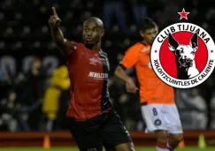 Xolos: Luis Leal es nuevo jugador del cuadro fronterizo