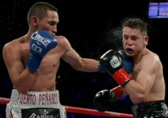 Carlos Cuadras vs Gallo Estrada 