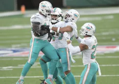 Dolphins en partido