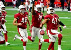 Jugadores de Cardinals celebran vs Eagles