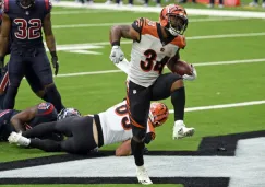 Samaje Perine en festejo con Bengals