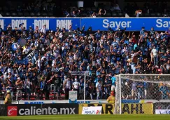 Afición de Gallos Blancos en el Corregidora