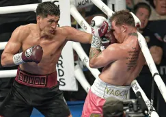 Álvarez en su pelea ante Bivol