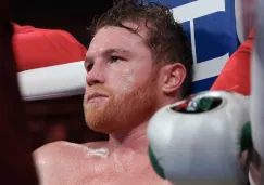 Canelo 'Álvarez 'minimizó' la carrera de Terence Crawford: 'No ha vencido a grandes peleadores'