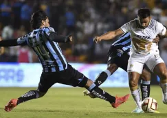 Gallos y auriazules buscarán acercarse todavía más a los puestos de Liguilla