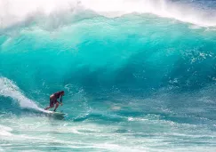 Surfista muere por ataque de tiburón en Australia 