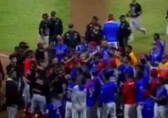 ¡Impresionante! Festejo desata batalla campal en Final de la Liga Venezolana de Beisbol