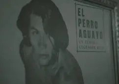 Documental del Perro Aguayo se estrenará en RÉCORD+