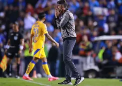 Tigres busca rival