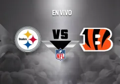 Pittsburgh Steelers vs Cincinnati Bengals EN VIVO NFL Semana 18