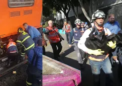 El perrito fue rescatado gracias a las autoridades del Metro